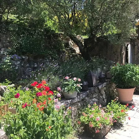Beautiful Stone House With Pool ヴィラ